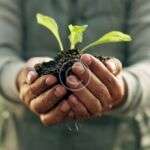 Organic farm challenges and how to beat easily